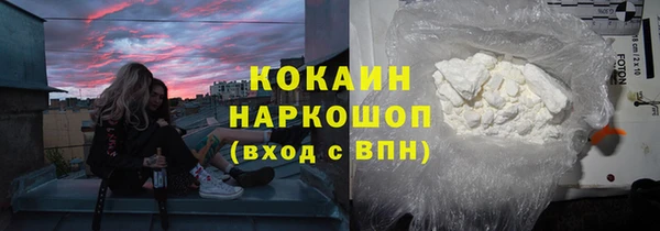 бошки Бронницы