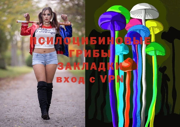 бошки Бронницы
