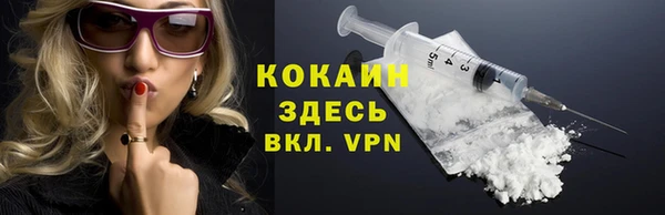 стафф Богданович