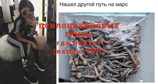 бошки Бронницы