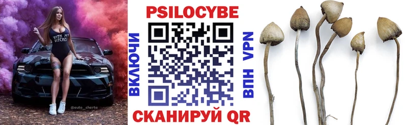 мега зеркало  Добрянка  Галлюциногенные грибы прущие грибы  купить закладку 